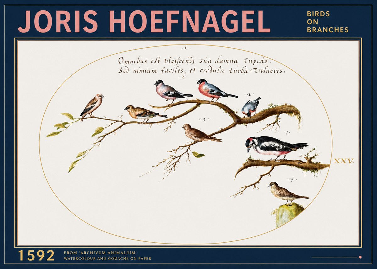 Joris Hoefnagel Birds on Branches No3 - Poszter