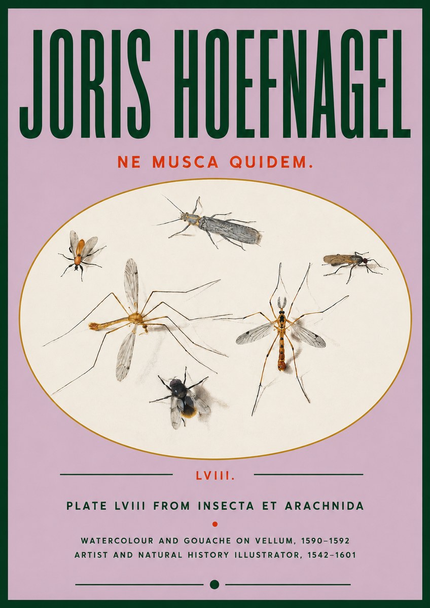 Joris Hoefnagel Plate Lviii from Insecta Et Arachnida No4 - Poszter