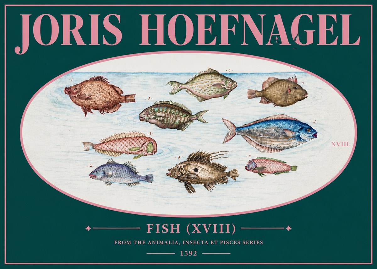 Joris Hoefnagel Studies of Fish I No3 - Poszter