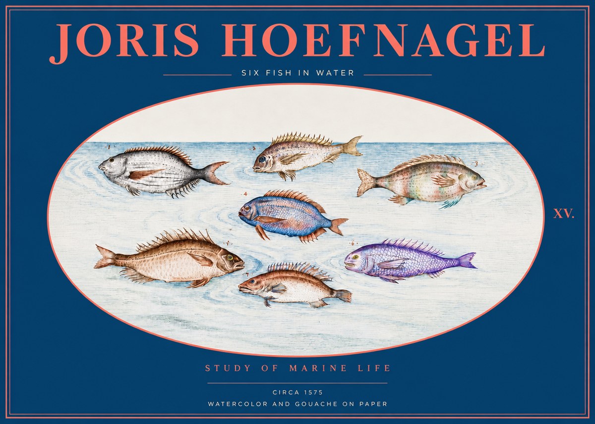 Joris Hoefnagel Six Fish in Water No2 - Poszter
