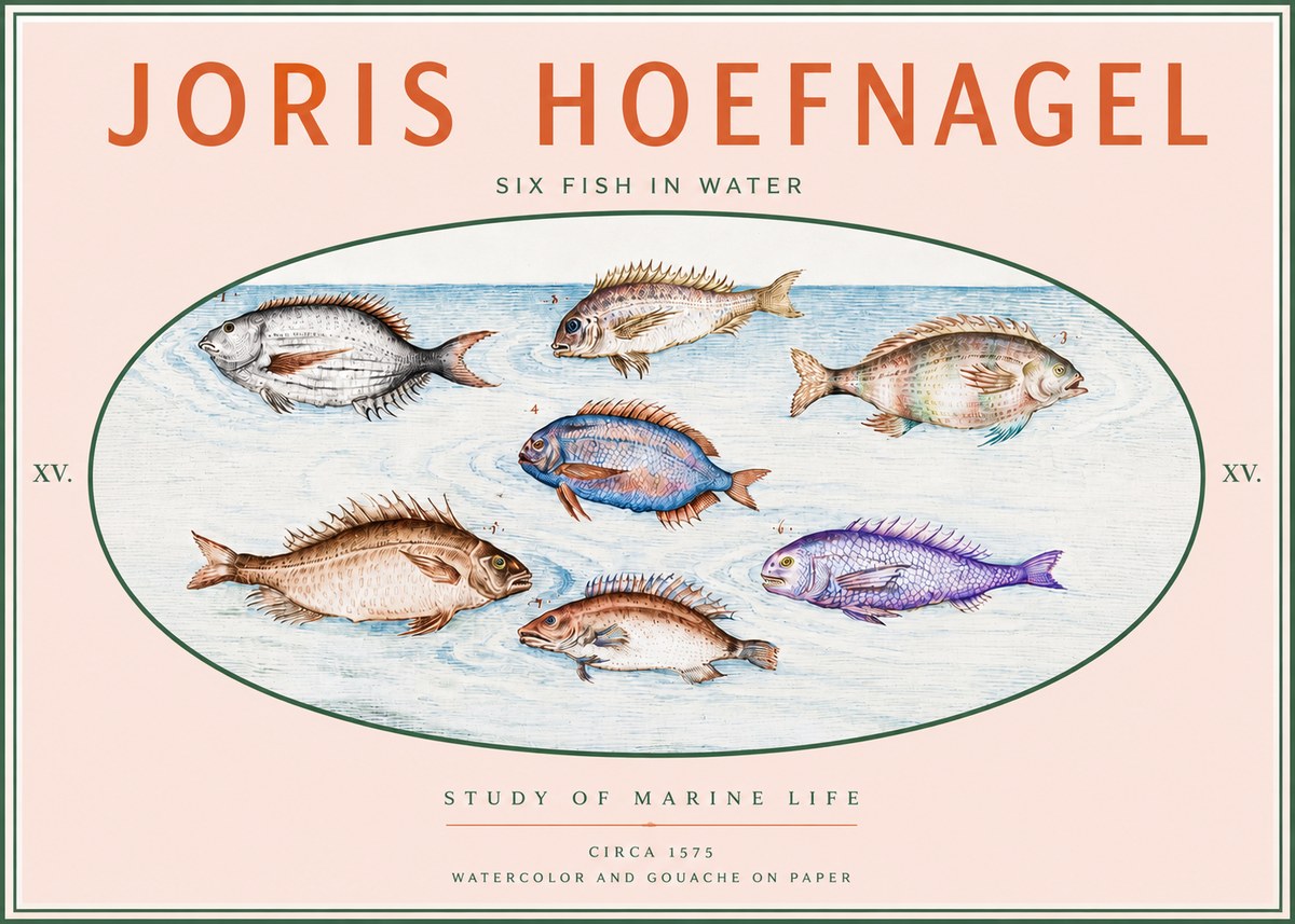 Joris Hoefnagel Six Fish in Water No3 - Poszter