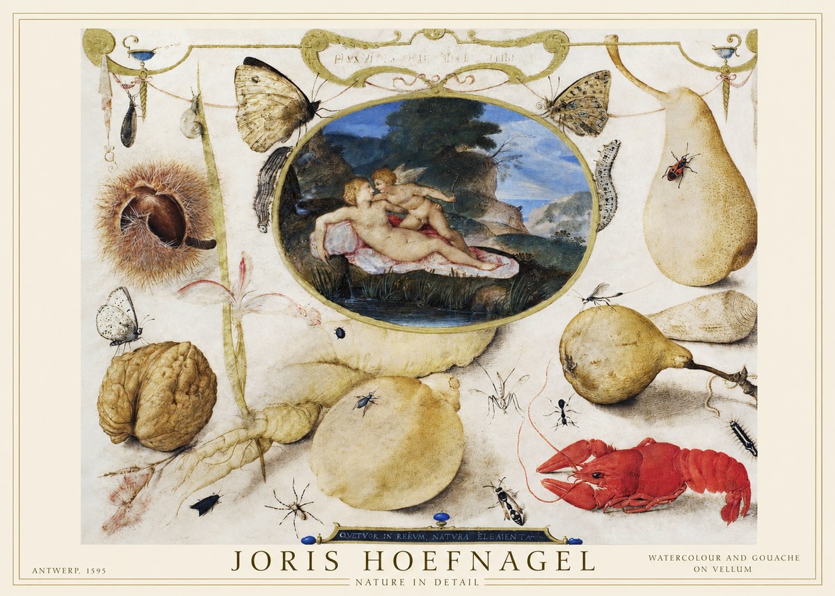 Joris Hoefnagel Nature in Detail No1 - Poszter