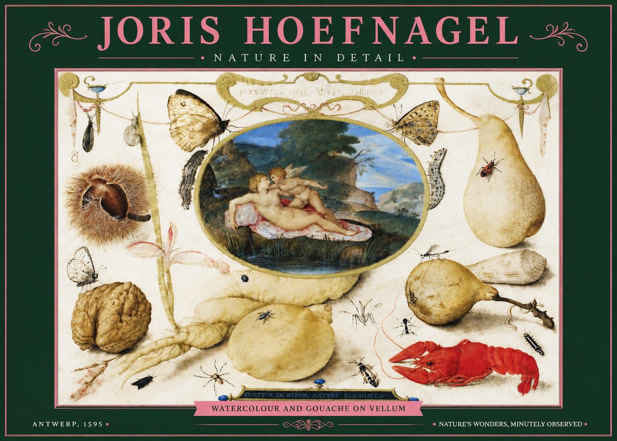 Joris Hoefnagel Nature in Detail No3 - Poszter