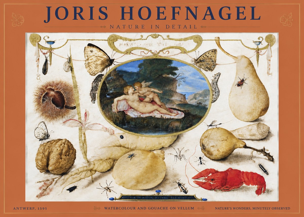 Joris Hoefnagel Nature in Detail No4 - Poszter