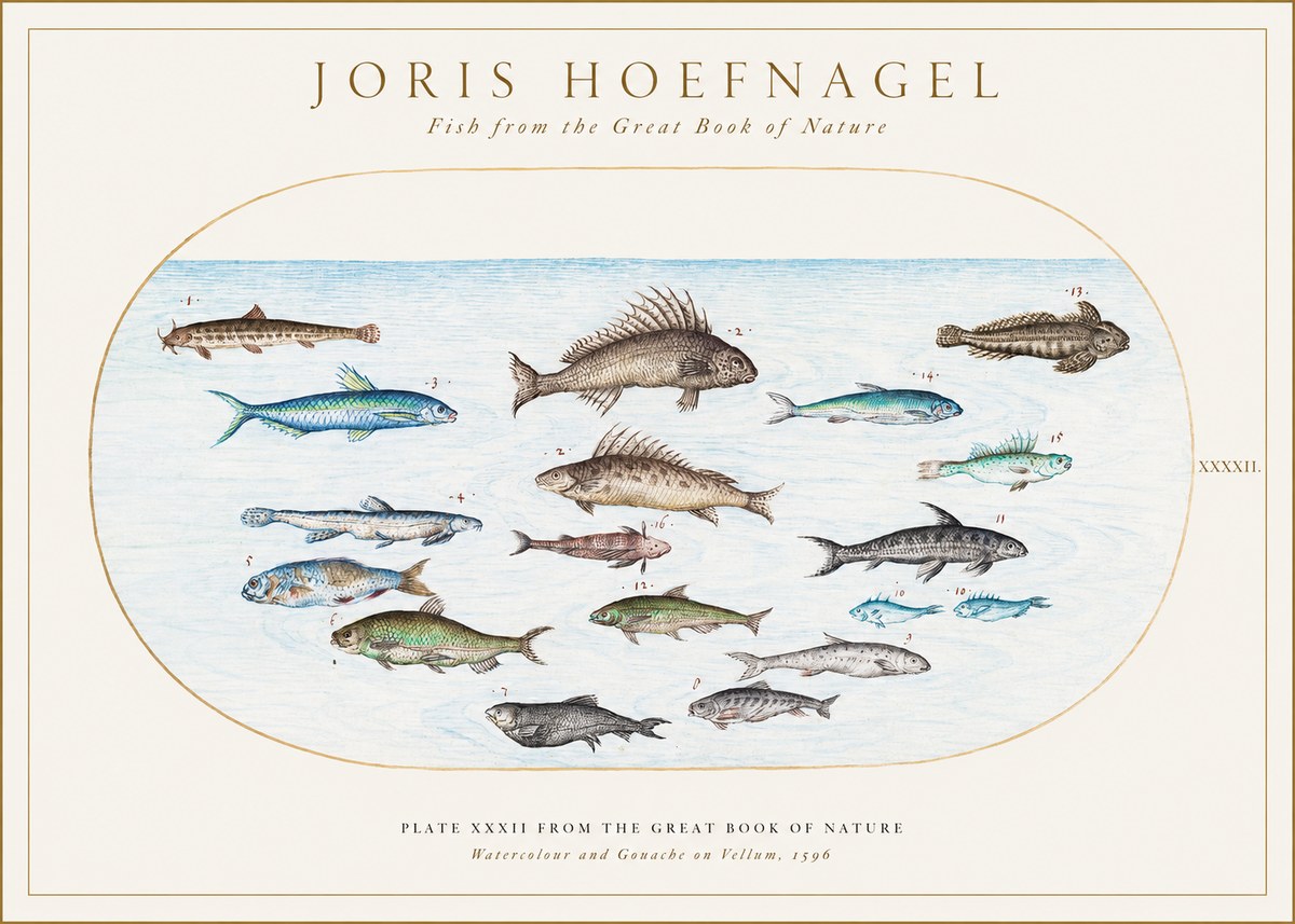 Joris Hoefnagel Fish from the Great Book of Nature No1 - Poszter