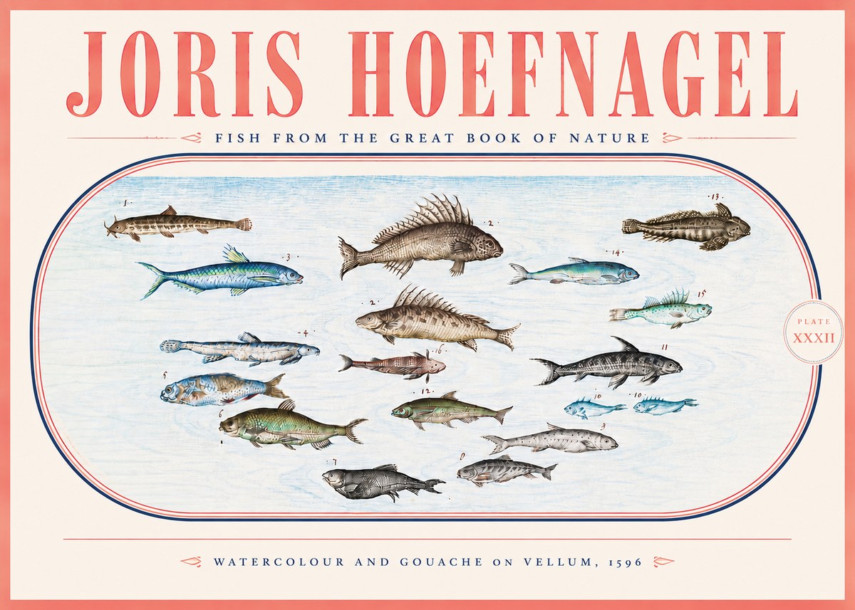 Joris Hoefnagel Fish from the Great Book of Nature No5 - Poszter