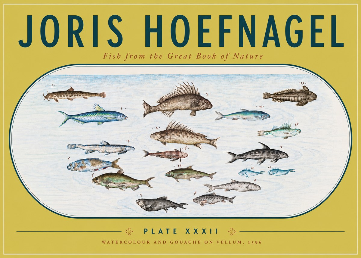 Joris Hoefnagel Fish from the Great Book of Nature No6 - Poszter