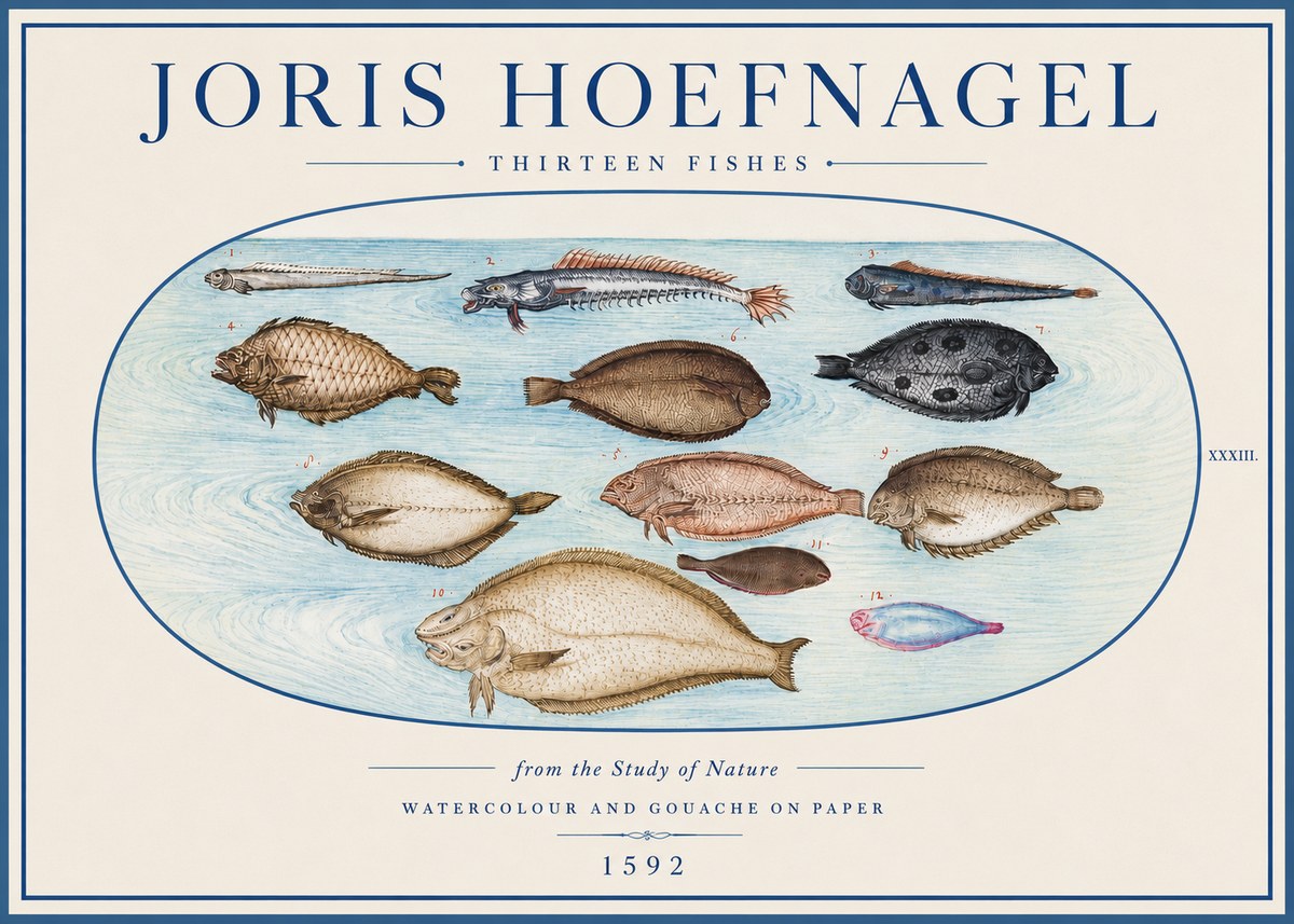 Joris Hoefnagel Thirteen Fishes from the Study of Nature No4 - Poszter