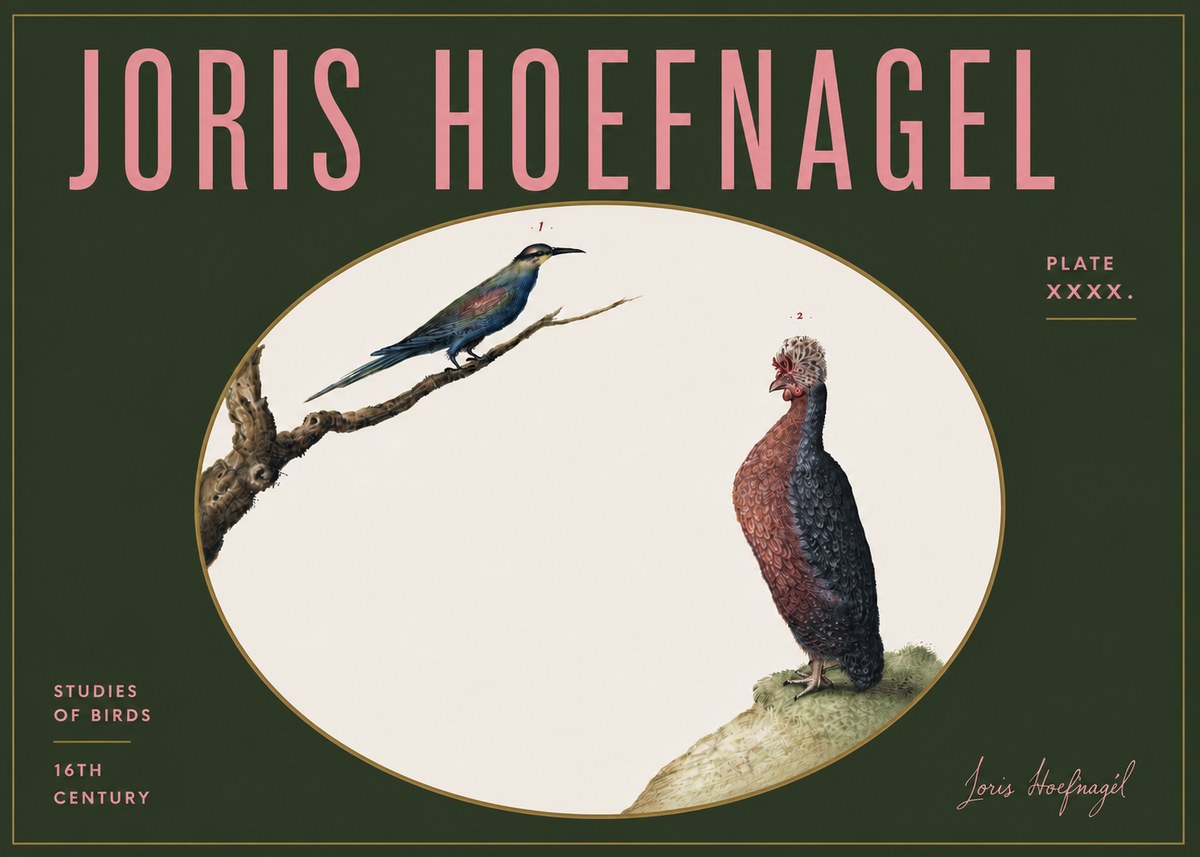 Joris Hoefnagel Studies of Birds I No5 - Poszter