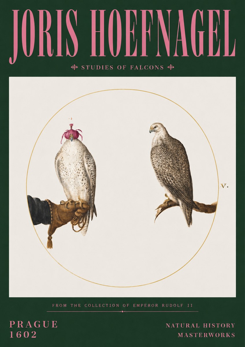 Joris Hoefnagel Studies of Falcons No3 - Poszter