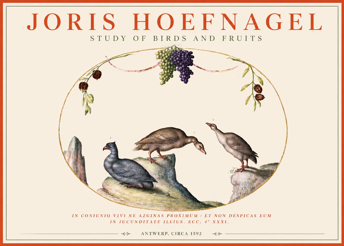 Joris Hoefnagel Three Birds with Grapes and Inscription No4 - Poszter