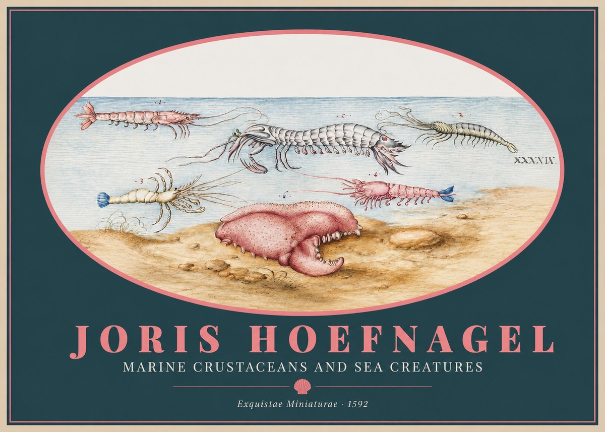 Joris Hoefnagel Marine Crustaceans and Sea Creature No2 - Poszter
