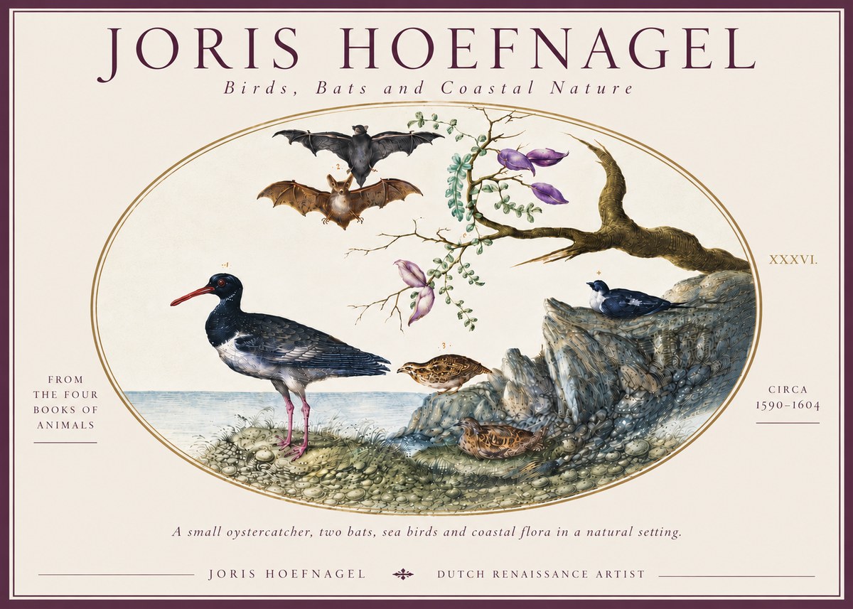 Joris Hoefnagel Birds, Bats and Coastal Nature No6 - Poszter