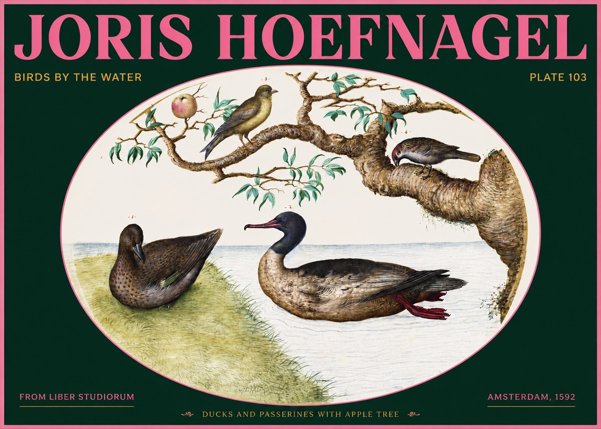 Joris Hoefnagel Ducks and Passerines with Apple Tree No2 - Poszter