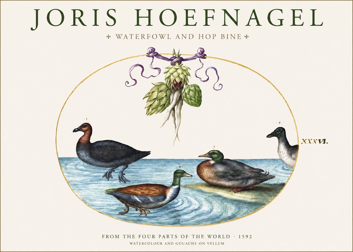 Joris Hoefnagel Waterfowl and Hop Bine No1 - Poszter
