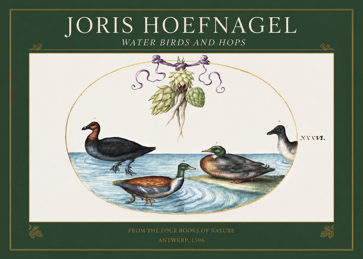 Joris Hoefnagel Waterfowl and Hop Bine No5 - Poszter