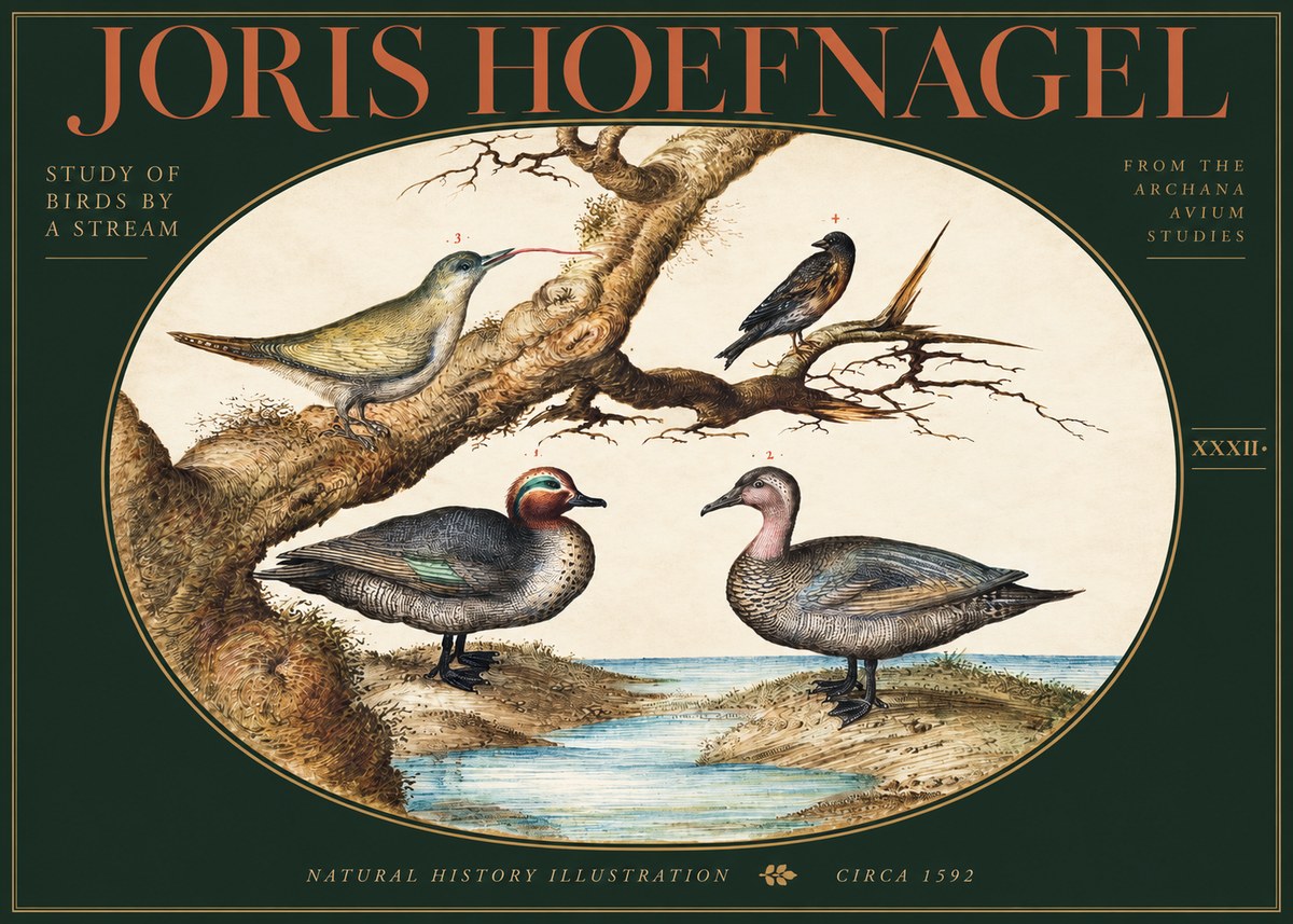 Joris Hoefnagel Study of Birds by a Stream No3 - Poszter