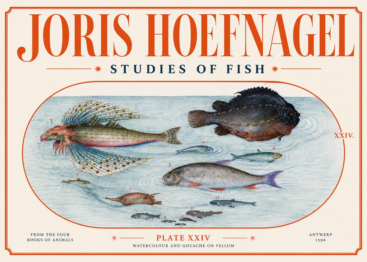 Joris Hoefnagel Studies of Fish II No4 - Poszter