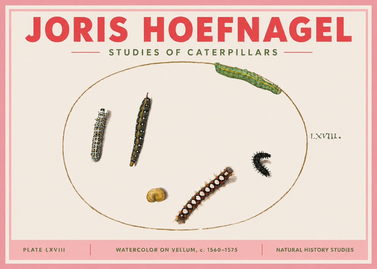 Joris Hoefnagel Studies of Caterpillars No3 - Poszter