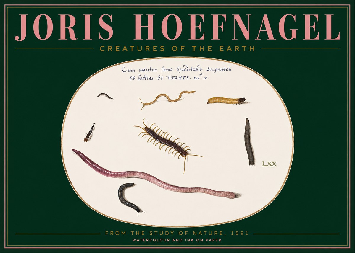 Joris Hoefnagel Creatures of the Earth II No2 - Poszter
