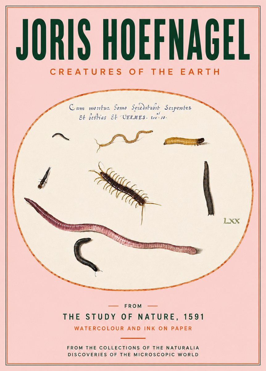 Joris Hoefnagel Creatures of the Earth II No4 - Poszter