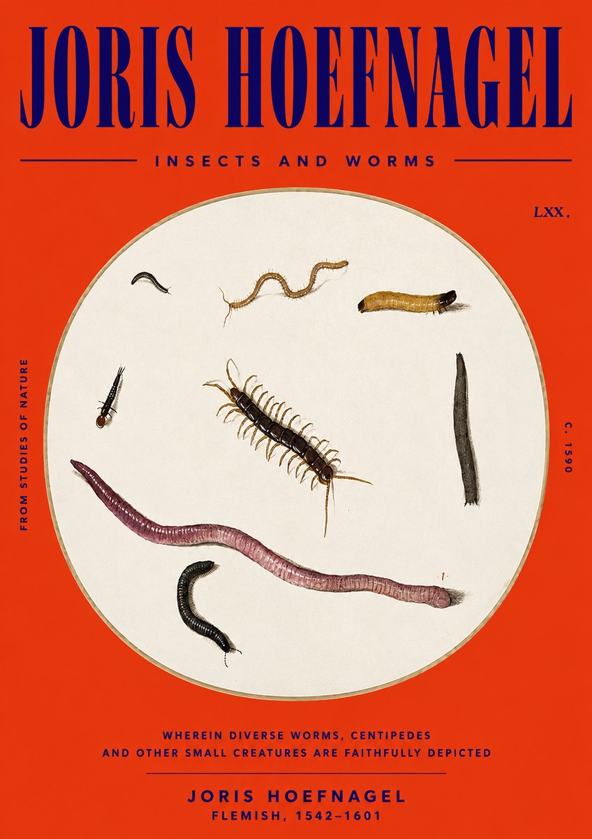 Joris Hoefnagel Creatures of the Earth II No6 - Poszter