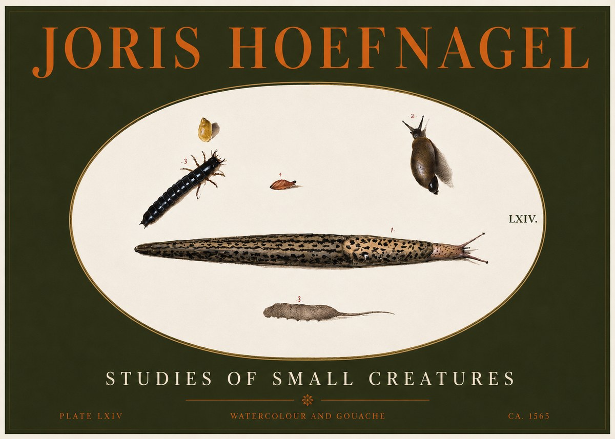 Joris Hoefnagel Plate Lxiv No4 - Poszter
