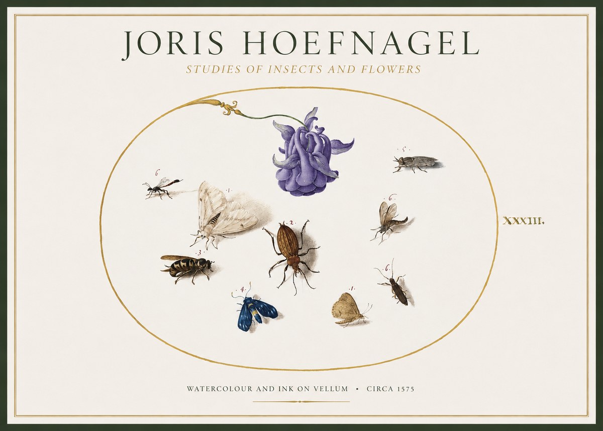 Joris Hoefnagel Studies of Insects and Flowers No1 - Poszter