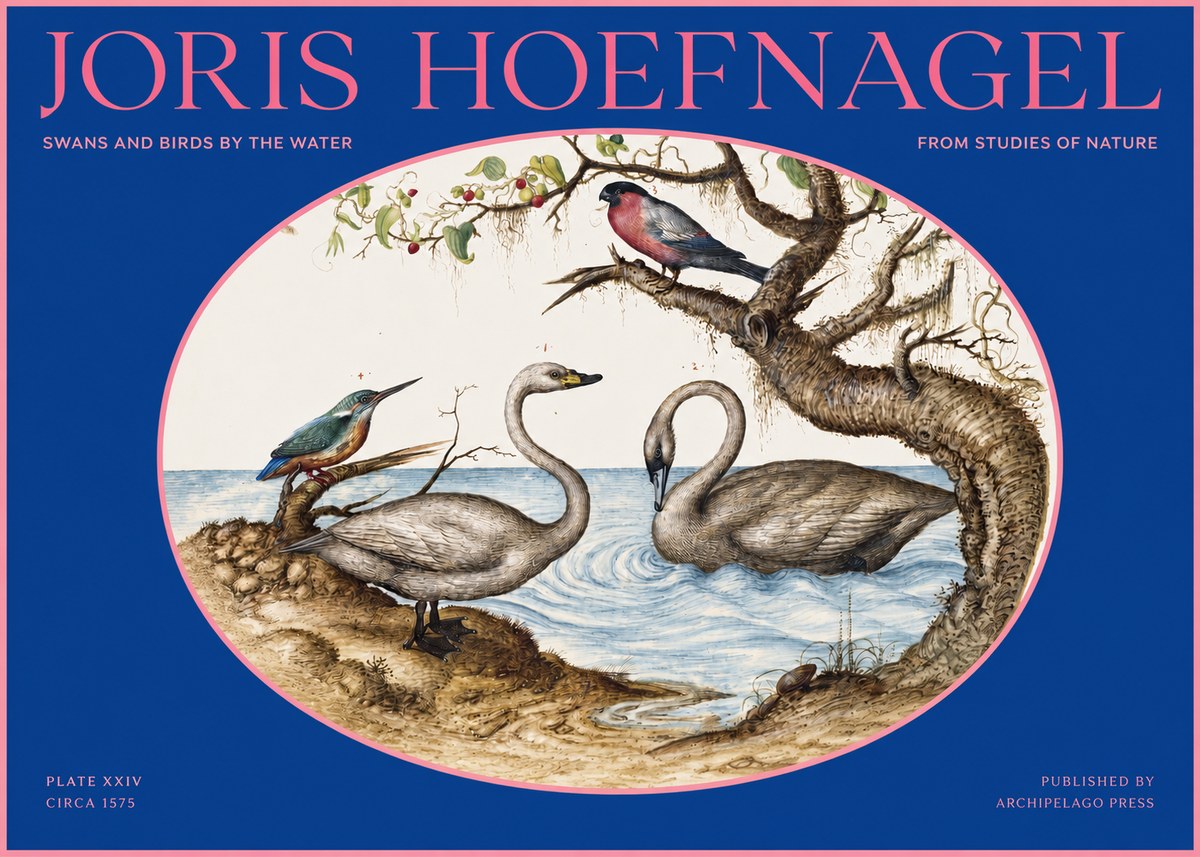 Joris Hoefnagel Swans and Birds by the Water No2 - Poszter