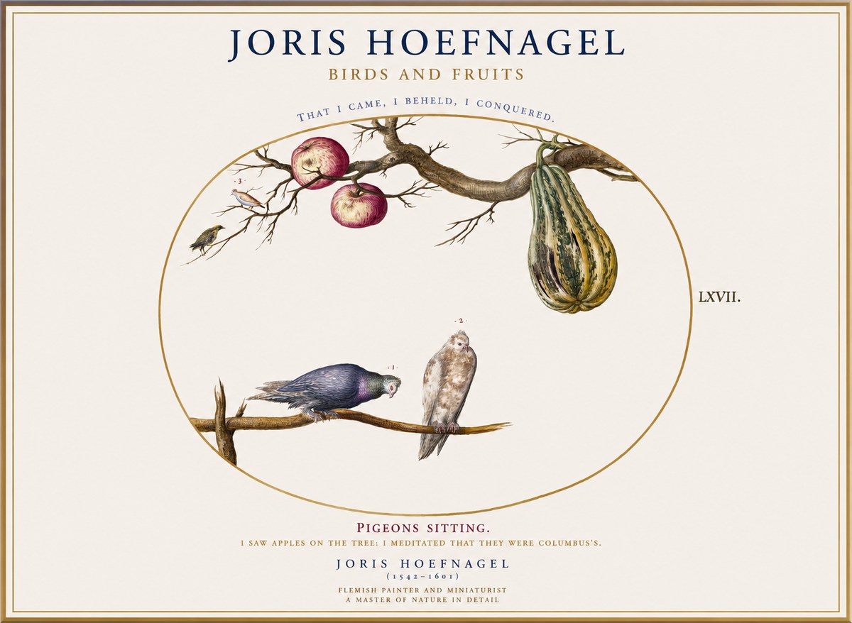 Joris Hoefnagel Pigeons Sitting. No1 - Poszter