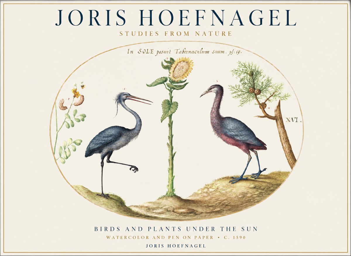 Joris Hoefnagel Birds and Plants Under the Sun No1 - Poszter