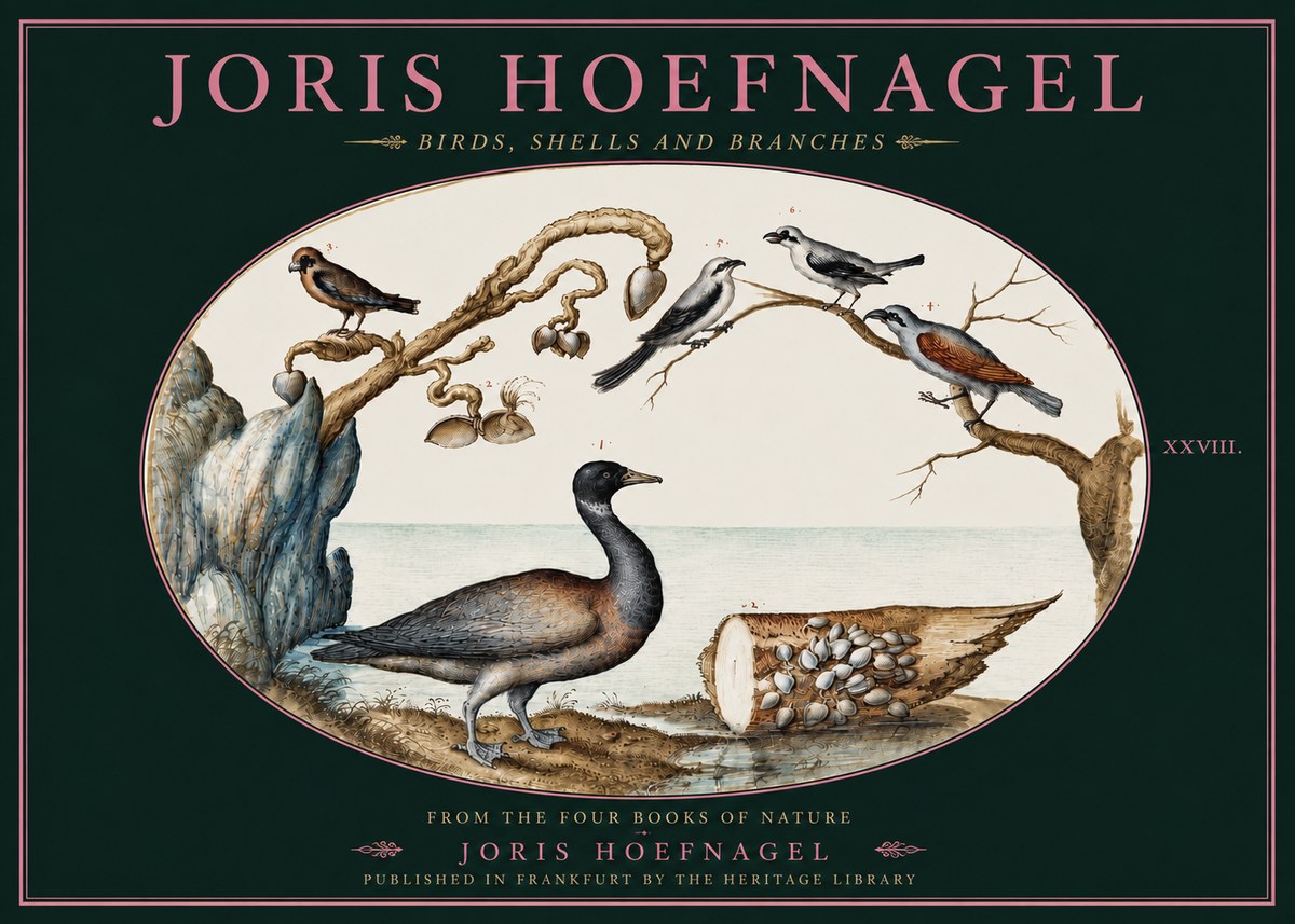 Joris Hoefnagel Birds, Shells and Branches No4 - Poszter