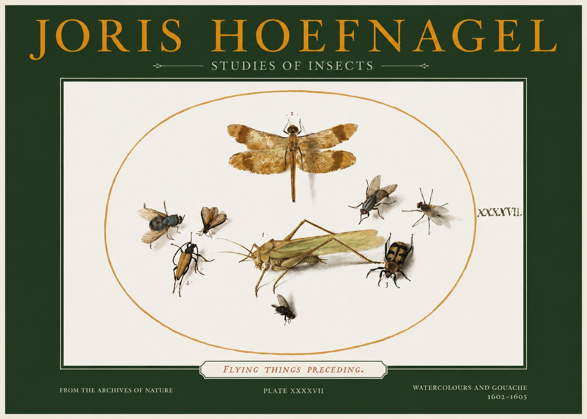 Joris Hoefnagel Flying Things Preceding. No2 - Poszter
