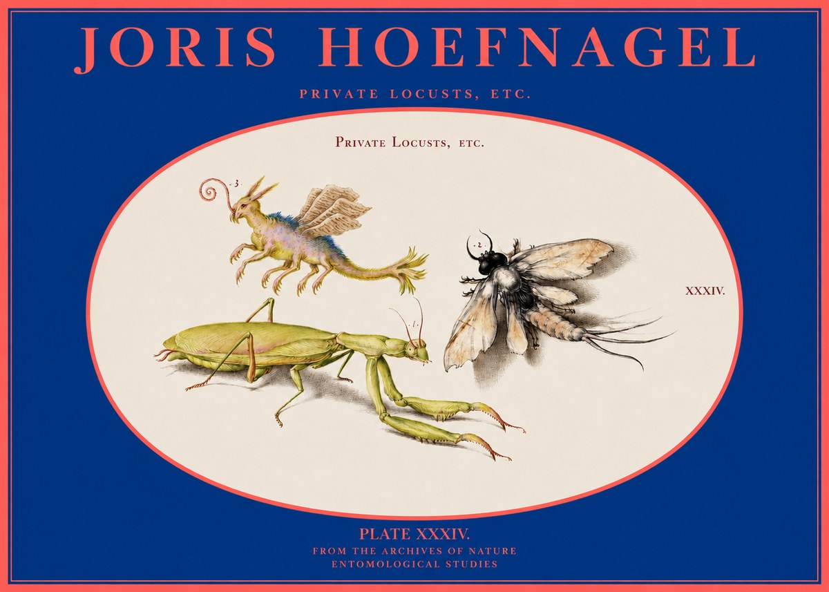 Joris Hoefnagel Privs Locvsta Bovem. No3 - Poszter