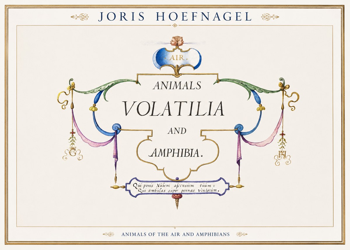 Joris Hoefnagel Animals Volatilia and Amphibia. No1 - Poszter