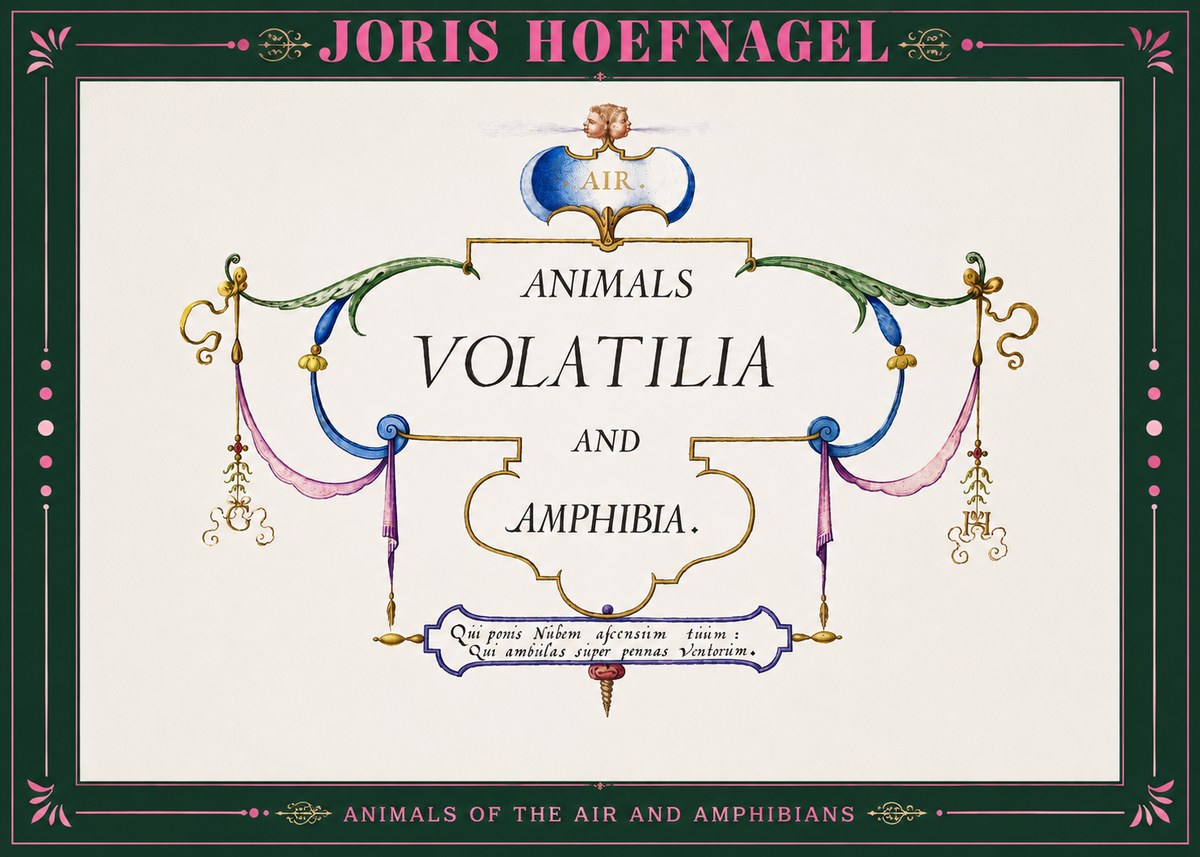 Joris Hoefnagel Animals Volatilia and Amphibia. No2 - Poszter