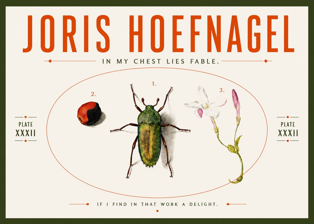 Joris Hoefnagel In My Chest Lies Fable No5 - Poszter