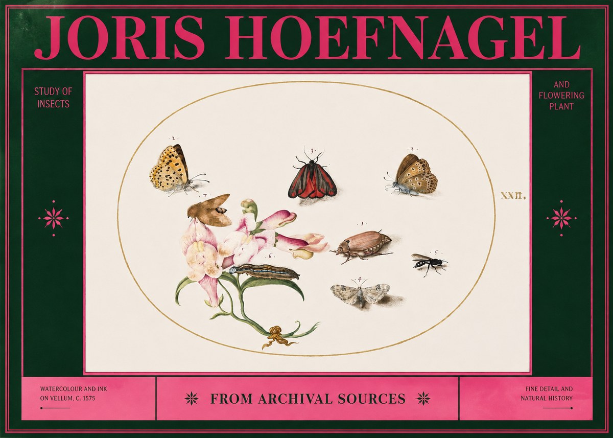 Joris Hoefnagel Study of Insects and Flowering Plant No2 - Poszter