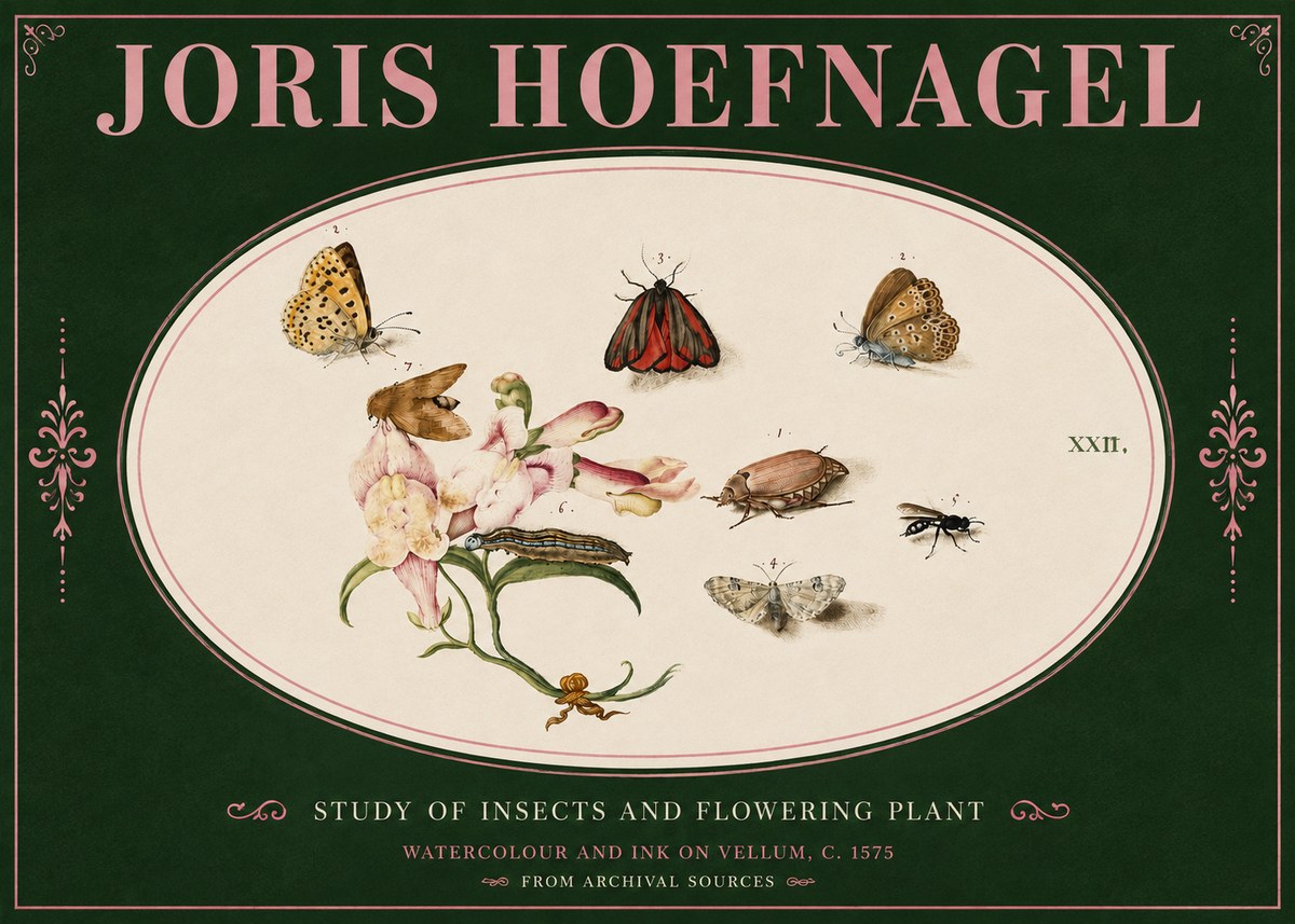 Joris Hoefnagel Study of Insects and Flowering Plant No4 - Poszter