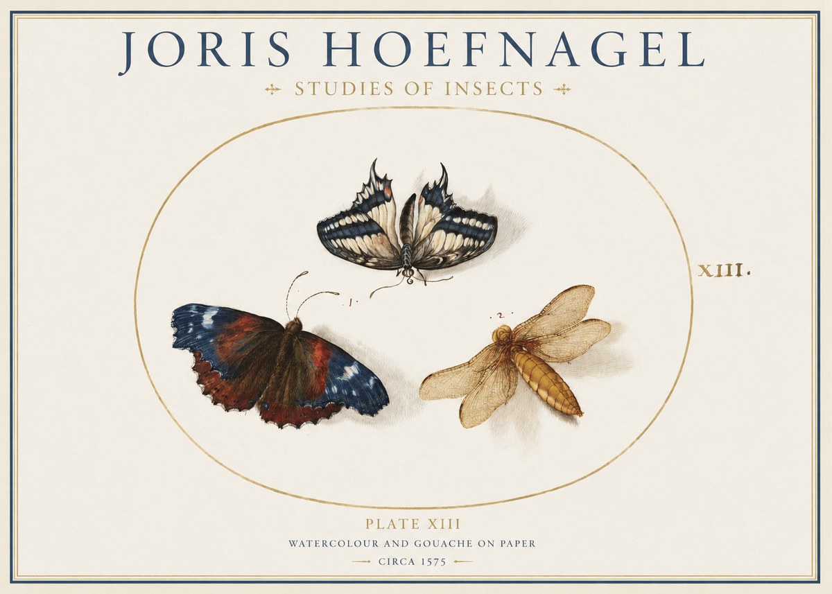 Joris Hoefnagel Studies of Insects - Plate Xiii No1 - Poszter
