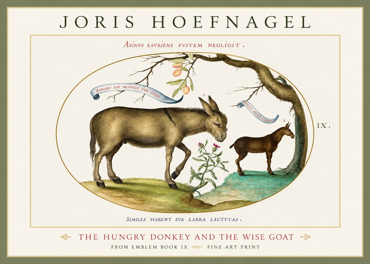 Joris Hoefnagel The Hungry Donkey and the Wise Goat No1 - Poszter