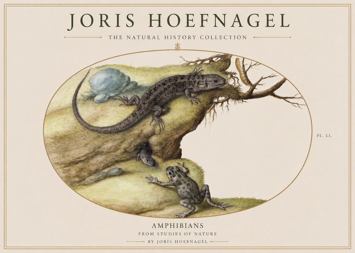 Joris Hoefnagel Amphibians from Studies of Nature No1 - Poszter