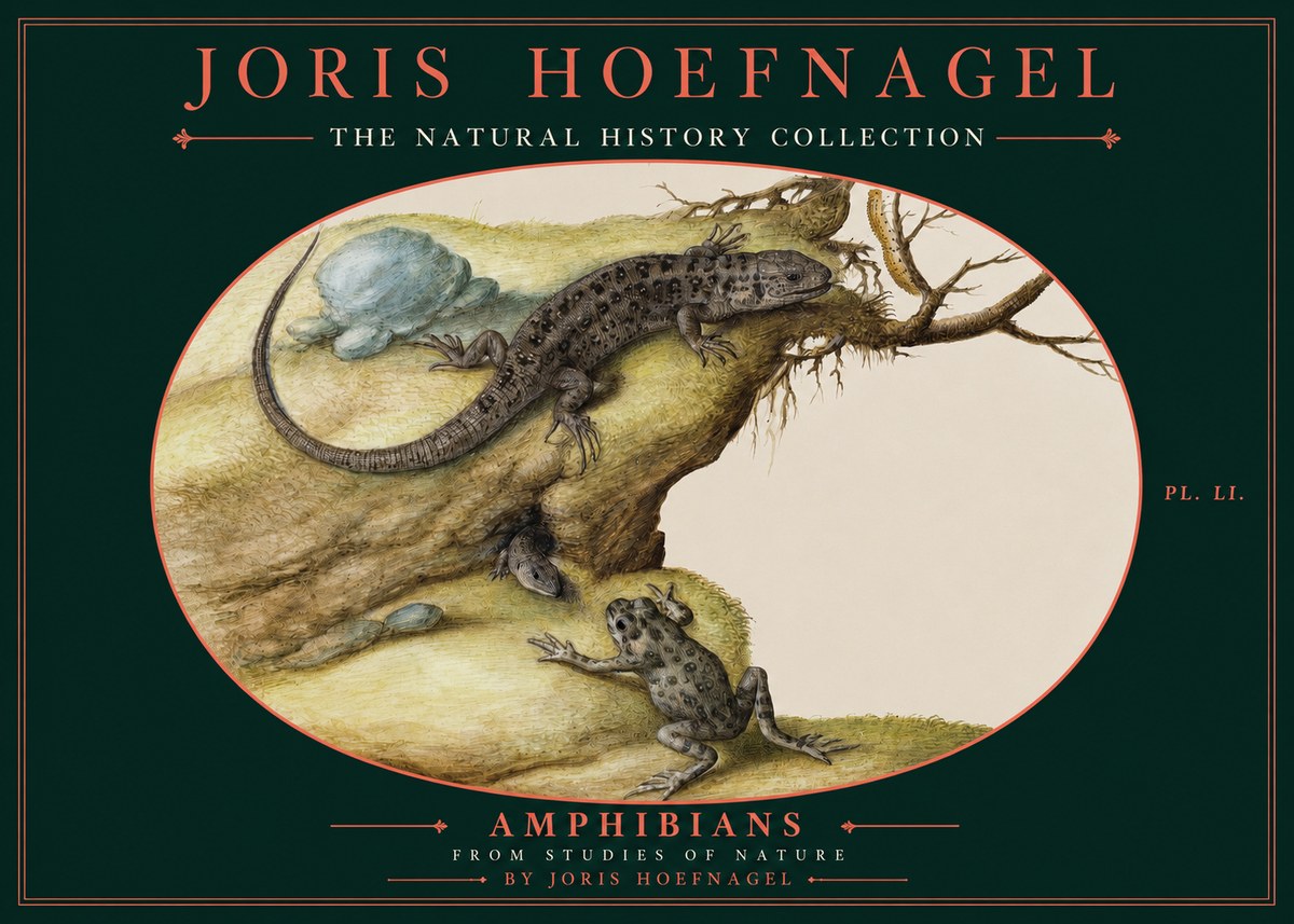 Joris Hoefnagel Amphibians from Studies of Nature No2 - Poszter