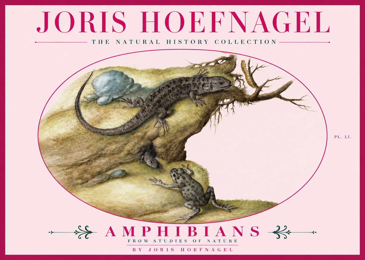 Joris Hoefnagel Amphibians from Studies of Nature No3 - Poszter