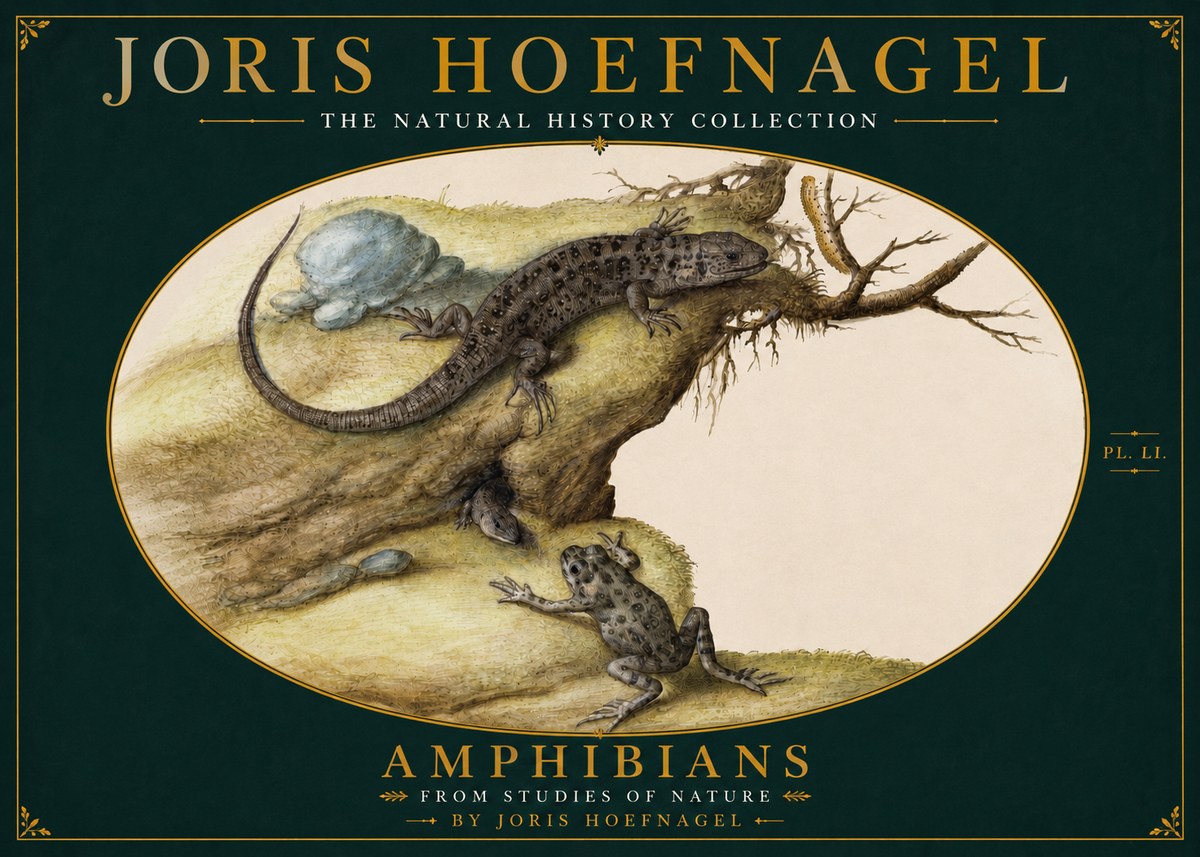 Joris Hoefnagel Amphibians from Studies of Nature No4 - Poszter