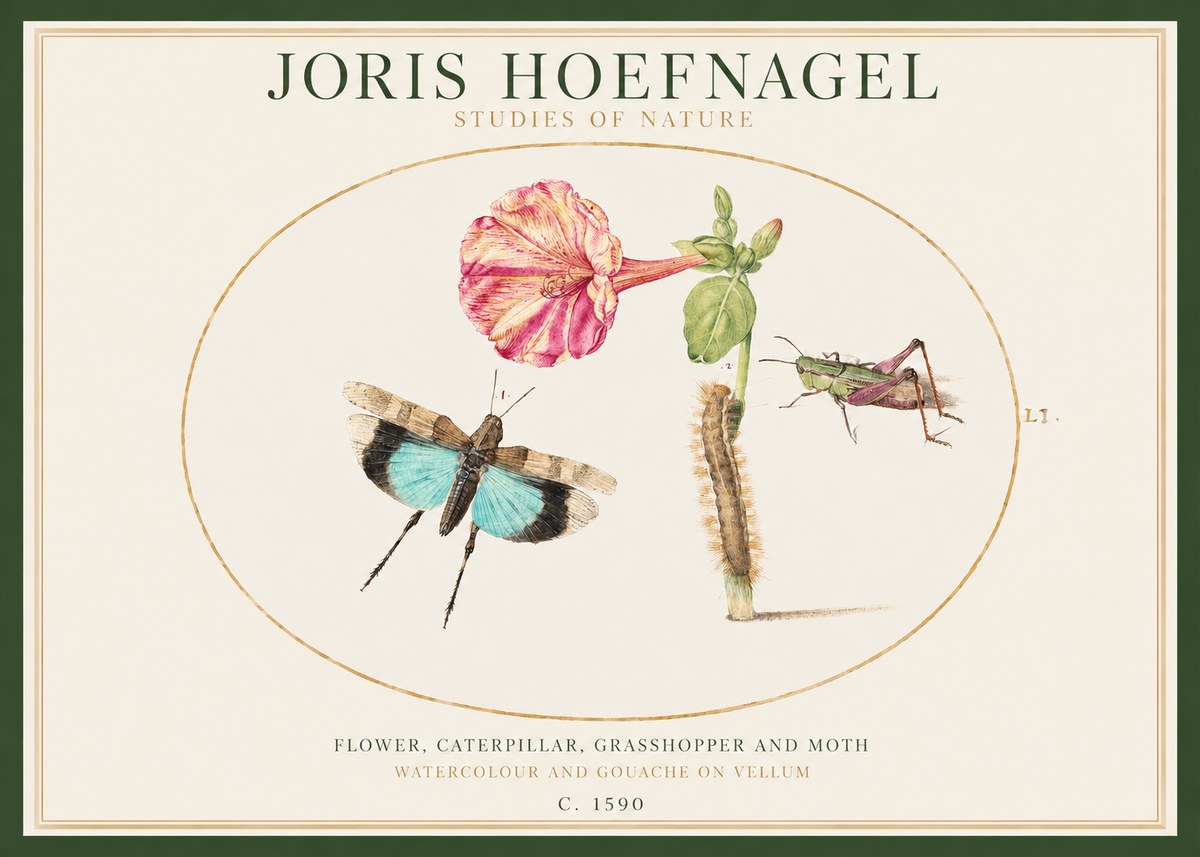 Joris Hoefnagel Plate L1. Studies of Insects and Plants No2 - Poszter