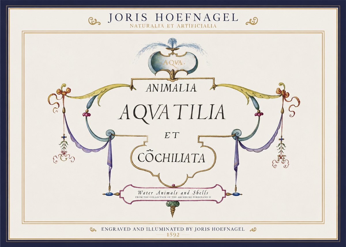 Joris Hoefnagel Animalia Aquatilia Et Cochiliata No1 - Poszter