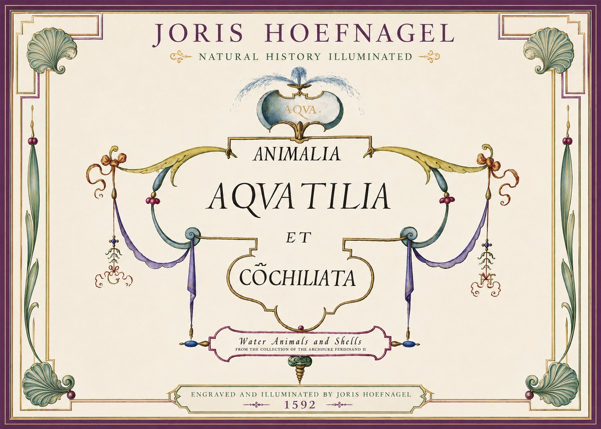 Joris Hoefnagel Animalia Aquatilia Et Cochiliata No4 - Poszter