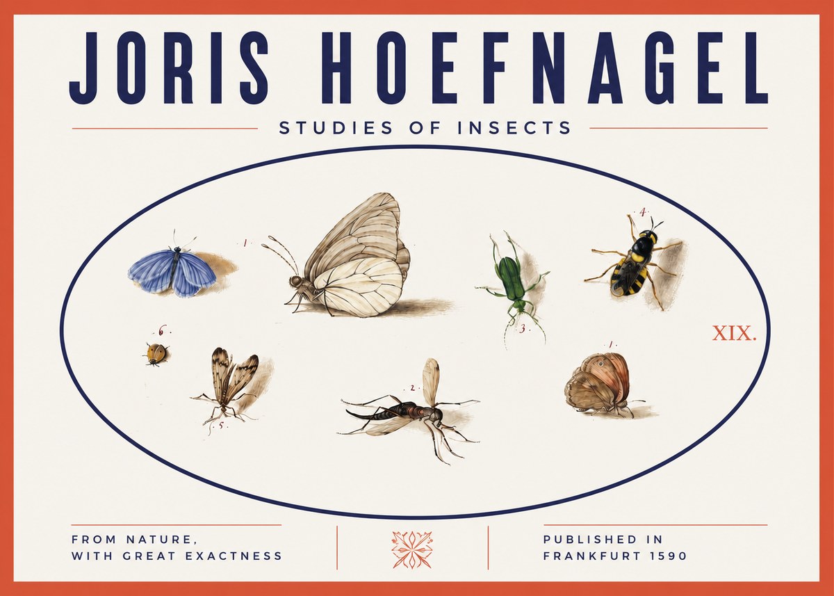 Joris Hoefnagel Studies of Insects V No3 - Poszter