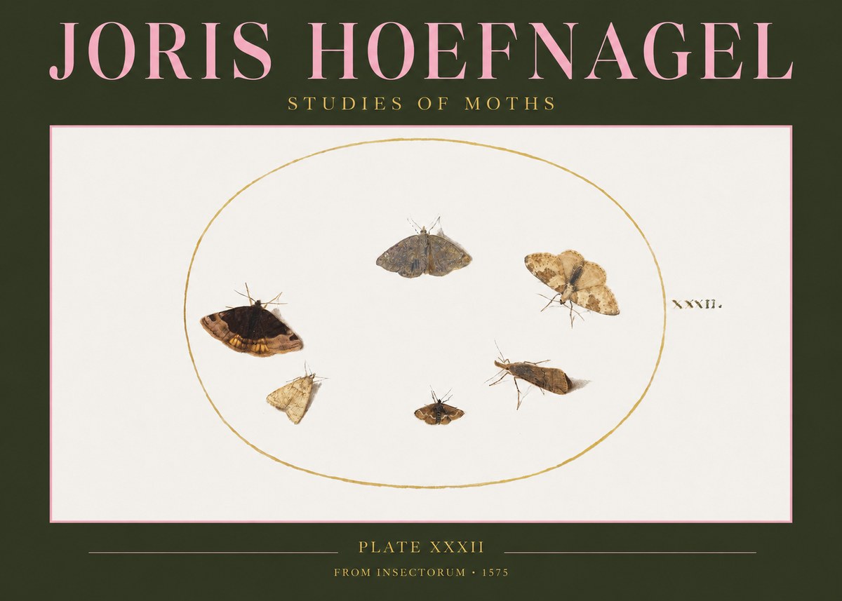 Joris Hoefnagel Studies of Moths III No2 - Poszter
